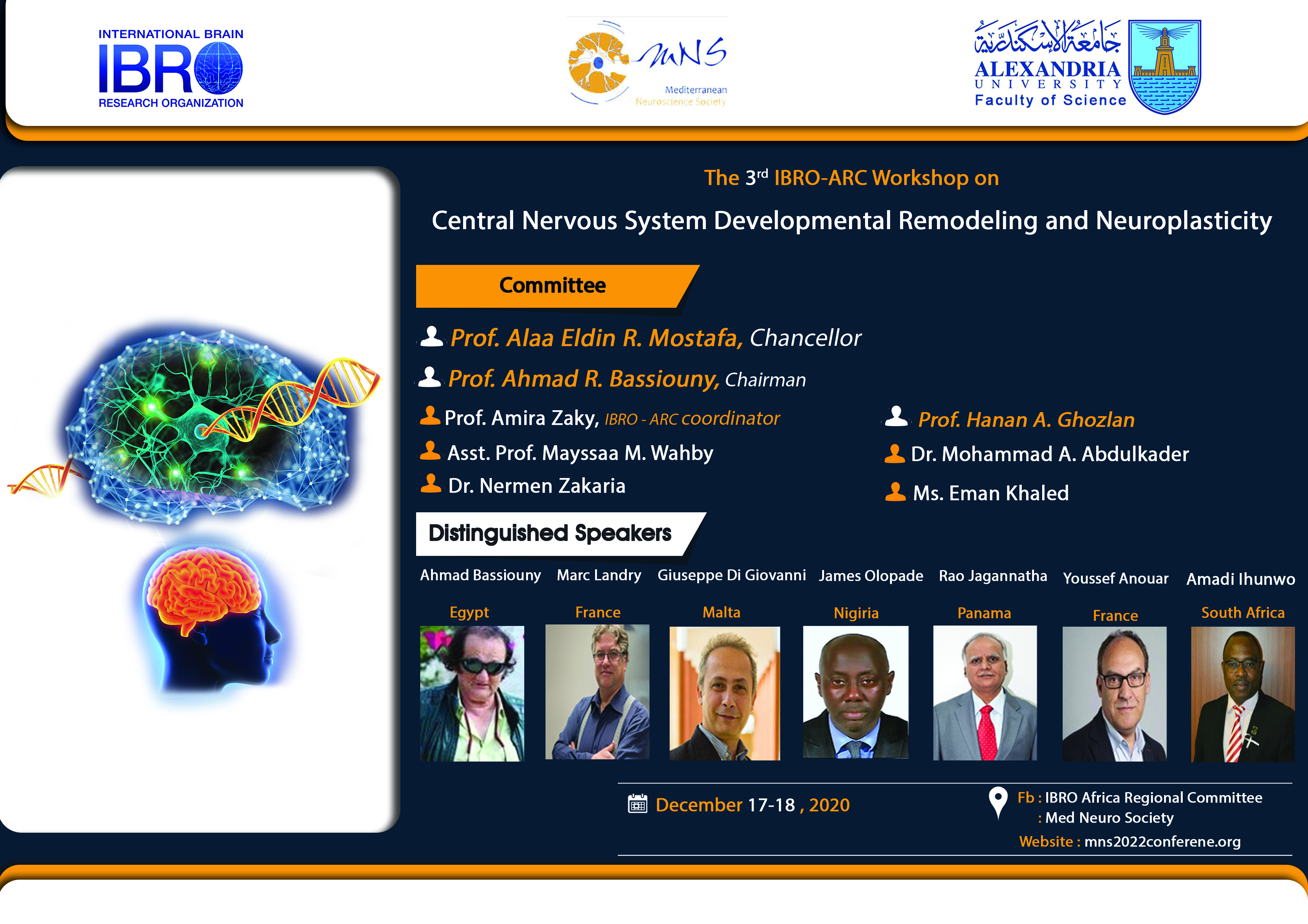 3rd IBRO-ARC Virtual workshop: Central Nervous System Developmental Remodeling and Neuroplasticity.