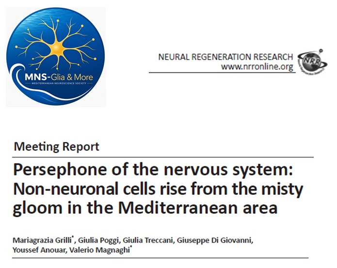 MNS-Glia&More Group Meeting report published in Neural Regeneration Research