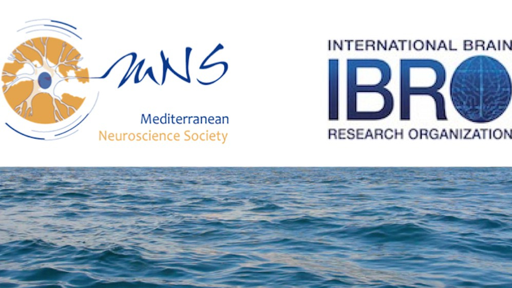 Proud member of IBRO! Proud member of IBRO!