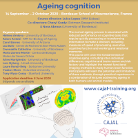 AGING COGNITION